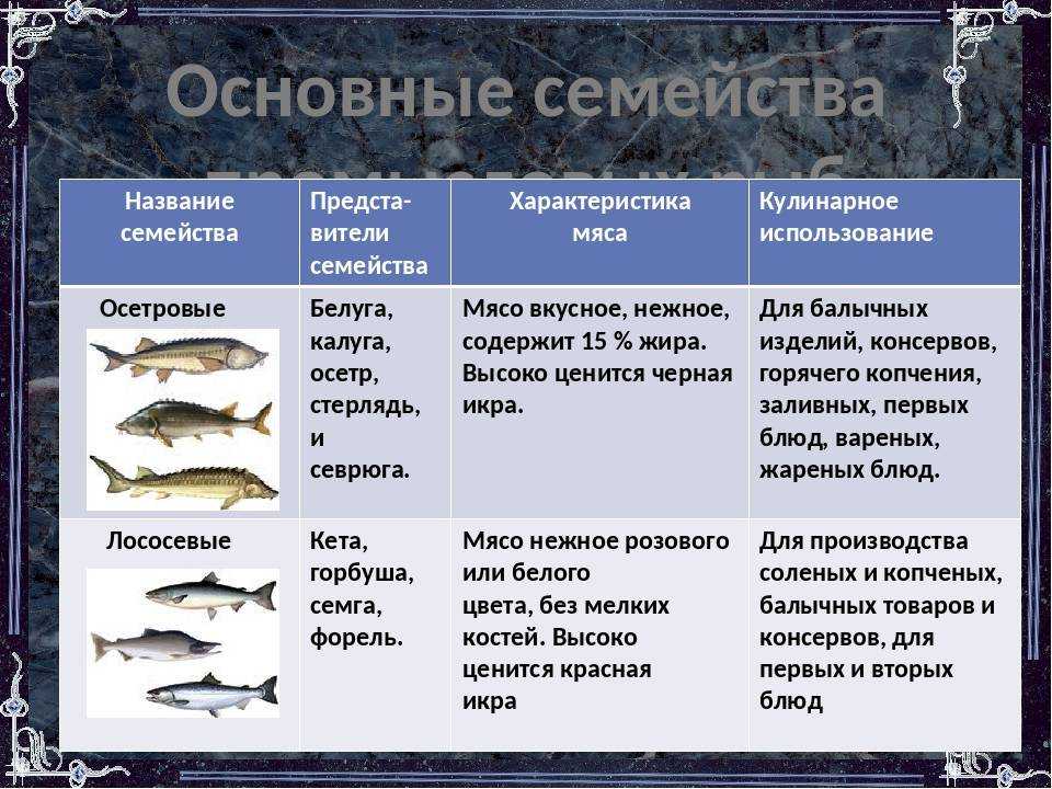 Виды окуней в россии и мире