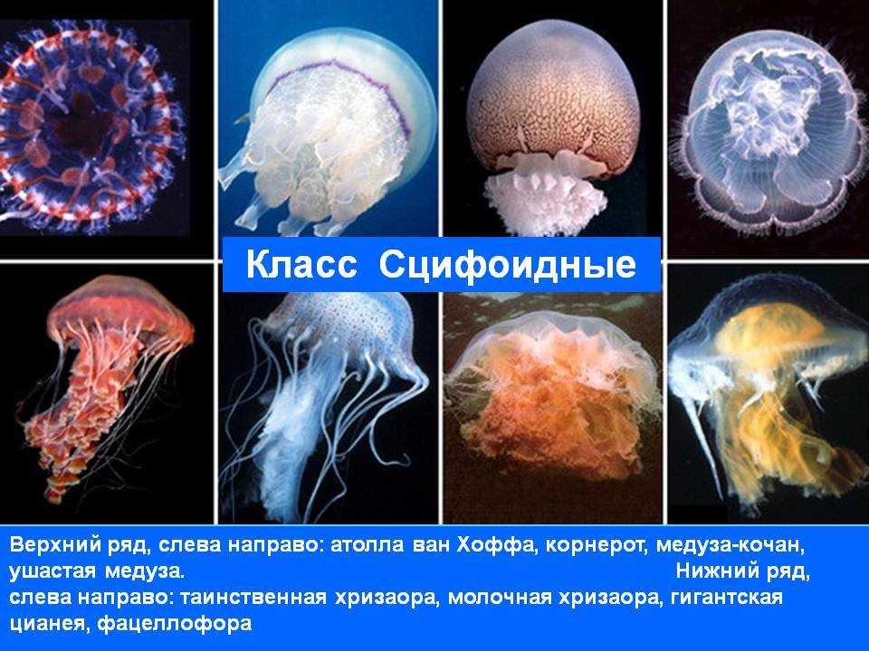 Биология