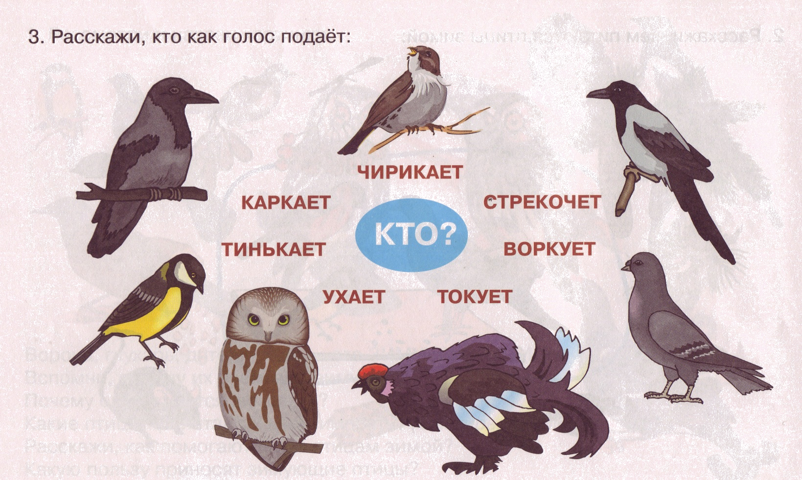 Неясыть ваше имя (обязательно) ваш e-mail (обязательно) тема сообщение пожаловаться ▲▼ проблемыинформация невернаопечатки, неверная орфография и пунктуацияинформация потеряла актуальностьнедостаточно