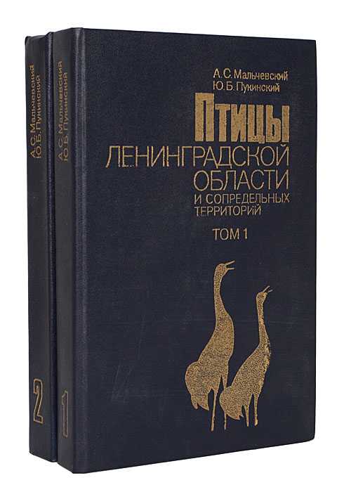 Болотный кулик, или большой веретенник | мир животных и растений