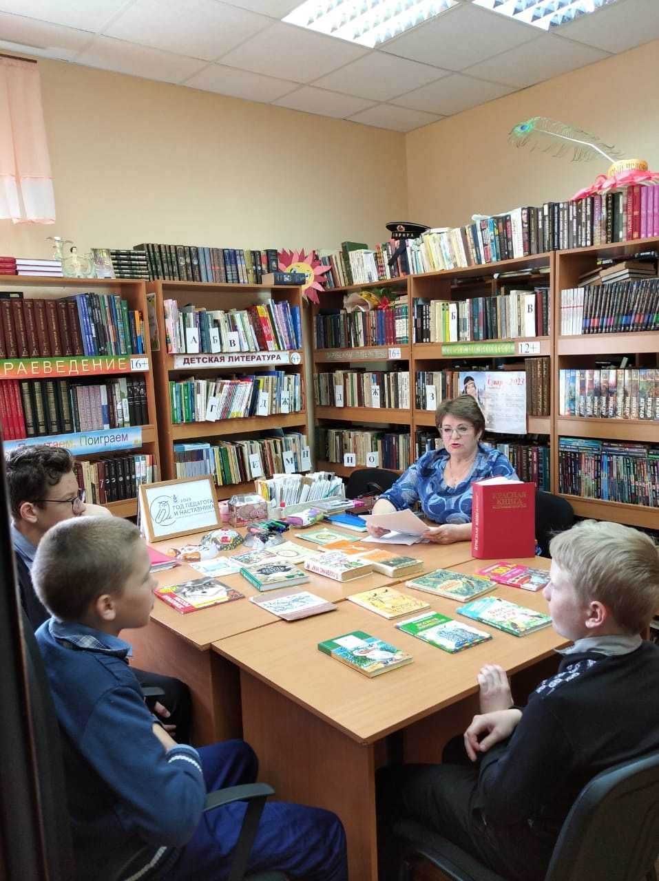 Коршун: внешний вид, фото, особенности, интересные факты, среда обитания