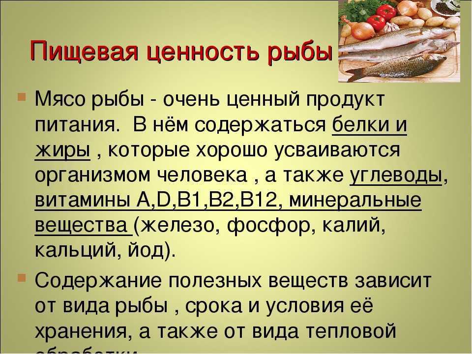 Бычок пчелка: фото, содержание, совместимость, разведение