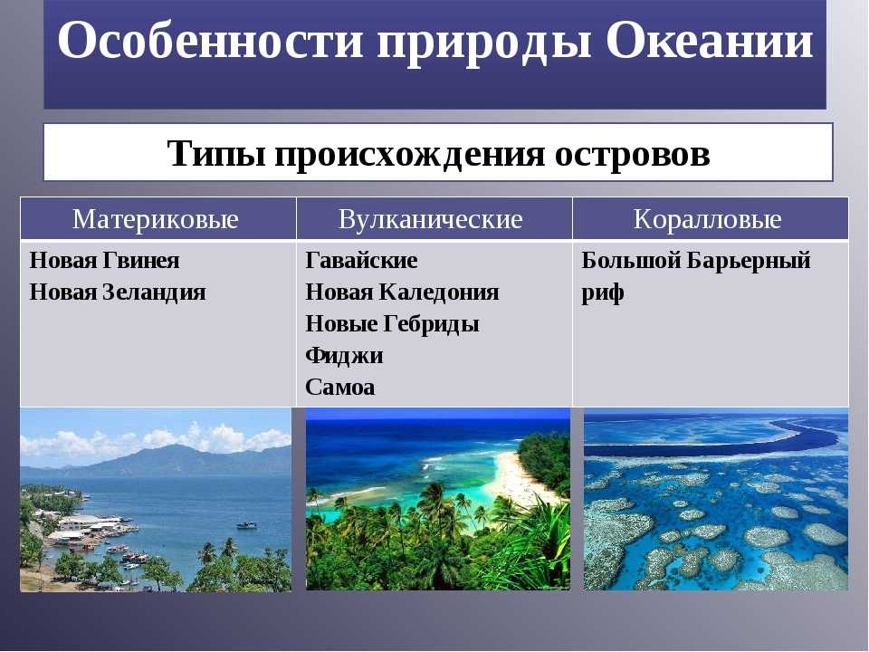 Кораллы красного моря – волшебная подводная страна | египет web