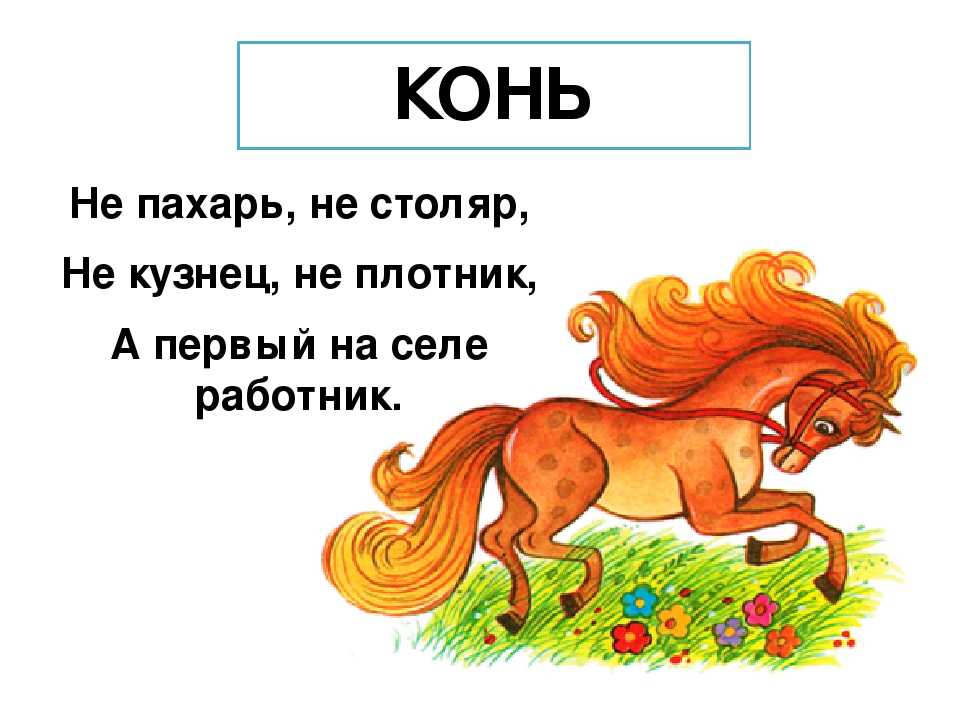 Лесной конёк: птица поёт в планирующем полете. конёк птица. описание, особенности, виды, образ жизни и среда обитания конька