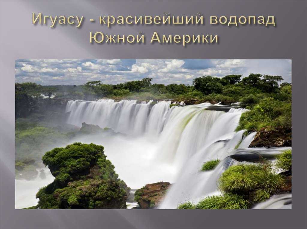 Природа южной америки