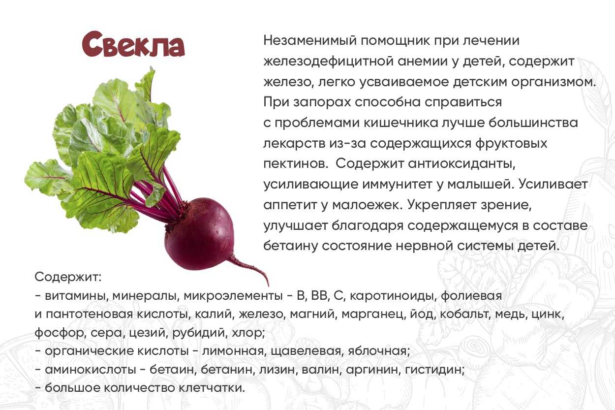Леопардовый групер | описания и фото животных - зоомир