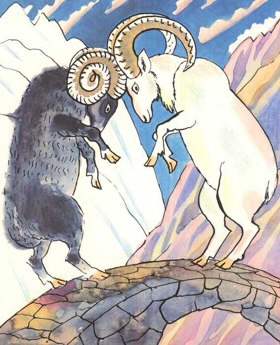 Архар или горный баран (ovis ammon) в красной книге