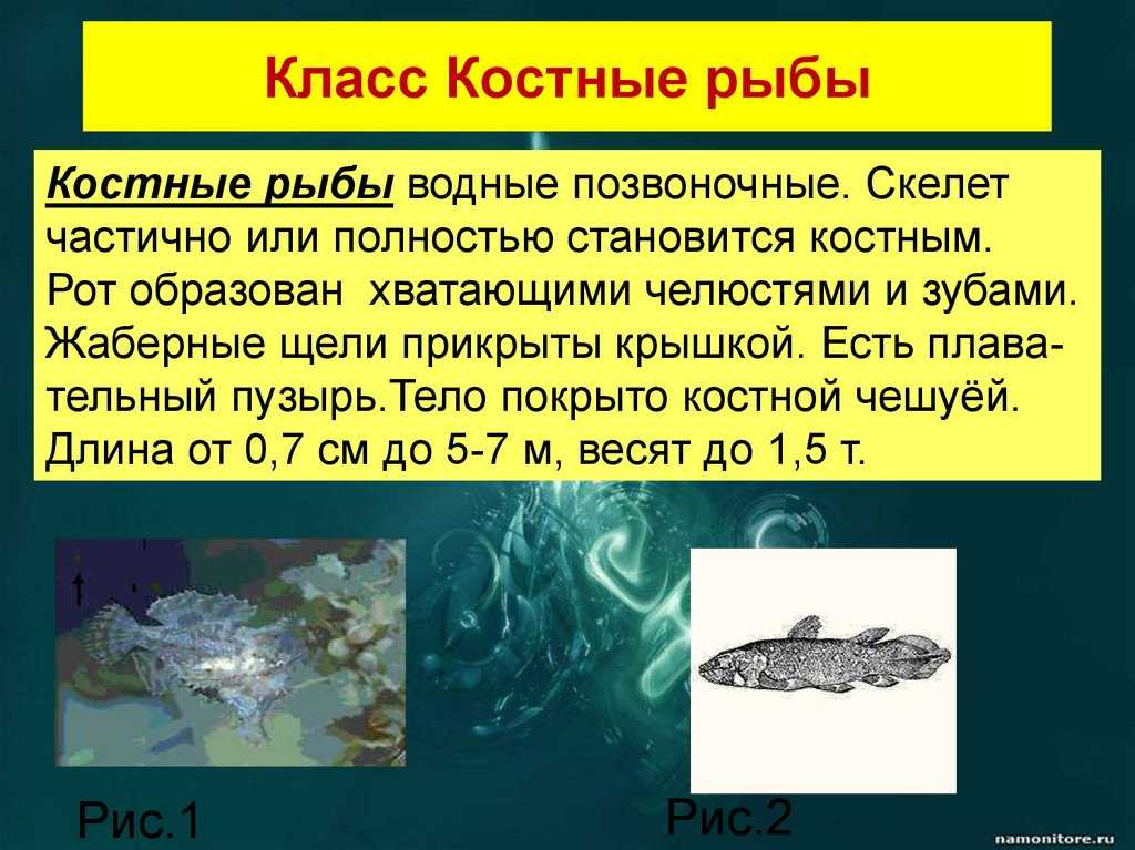 Кузовок-кубик