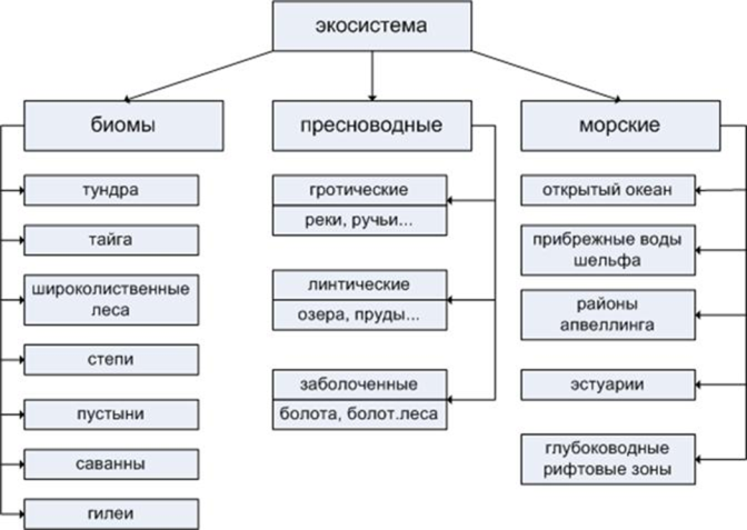 Белые и черные птицы лебеди