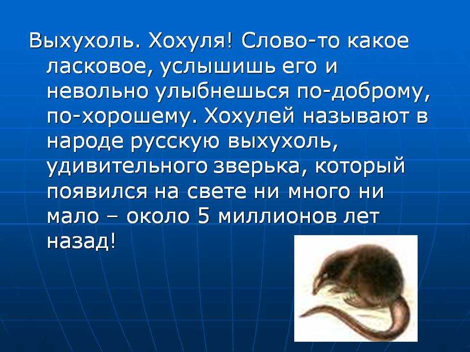 Описание выхухоли из красной книги