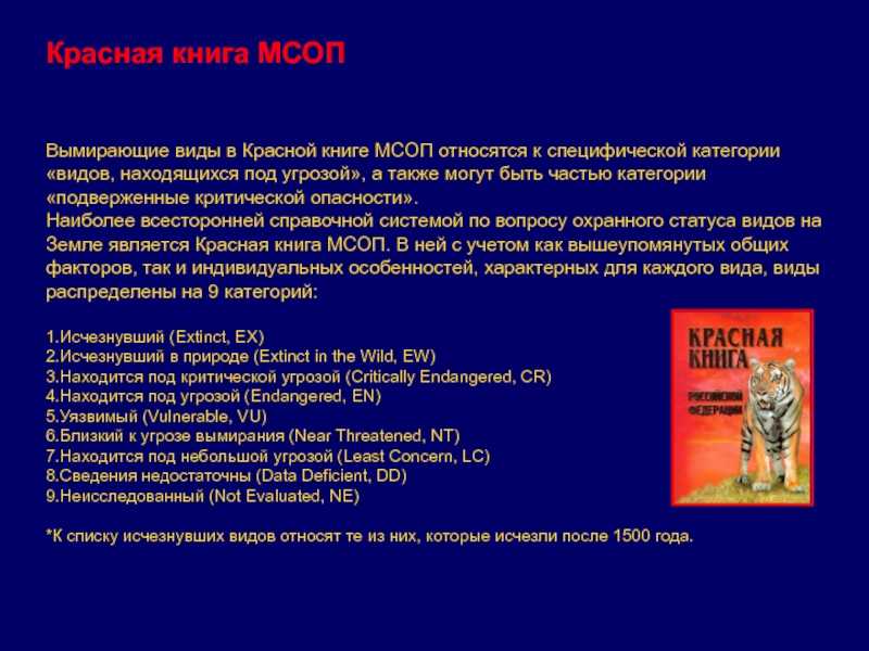 Животные занесенные в международную красную книгу: внешний вид, фото, особенности, интересные факты, среда обитания
