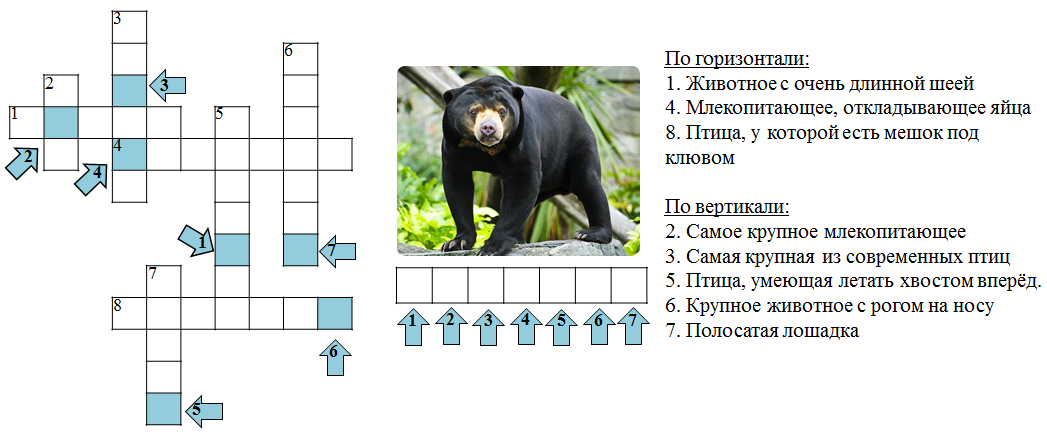Млекопитающие животные - животный мир