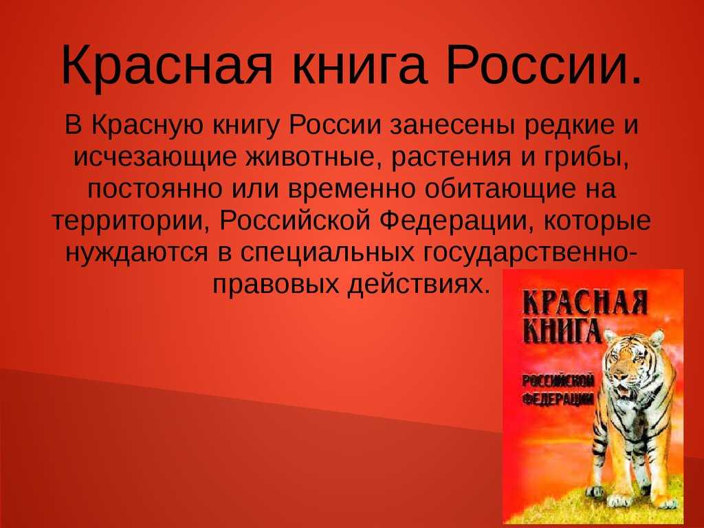 Джек, или вихляй Chlamydotis undulata обитает в пустынях Северной Африки и в Азии Оперение верхней части тела песочного цвета, низ белый Длина тела самцов достигает от 65 до 75 см, масса — 1,8—3,2 кг