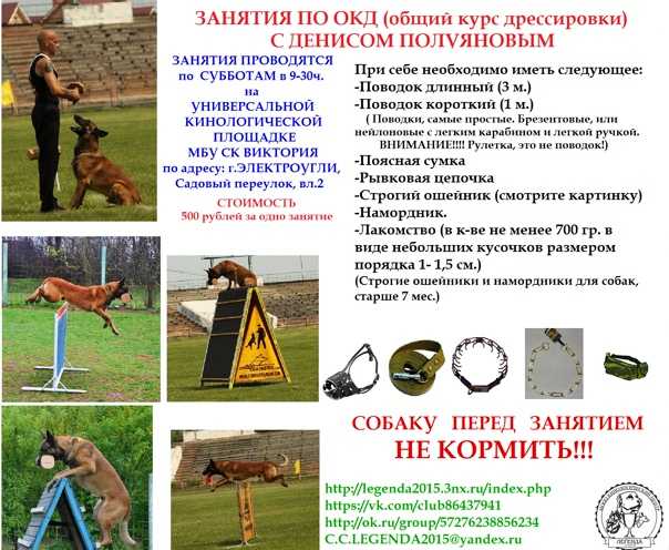 Групповые занятия по фитнесу: виды групповых тренировок в фитнес-клубе, какие лучше выбрать
