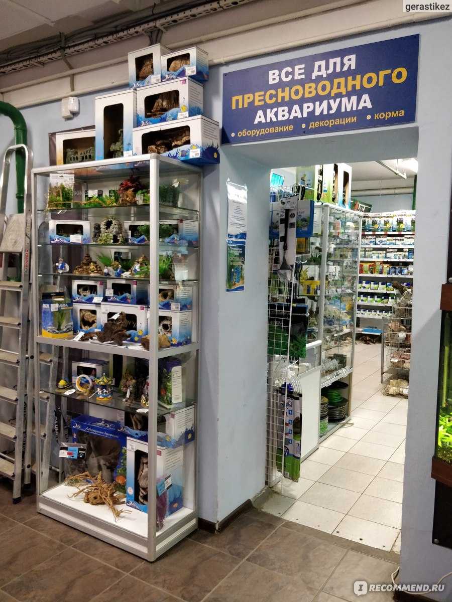 Единороговые — энциклопедия руниверсалис