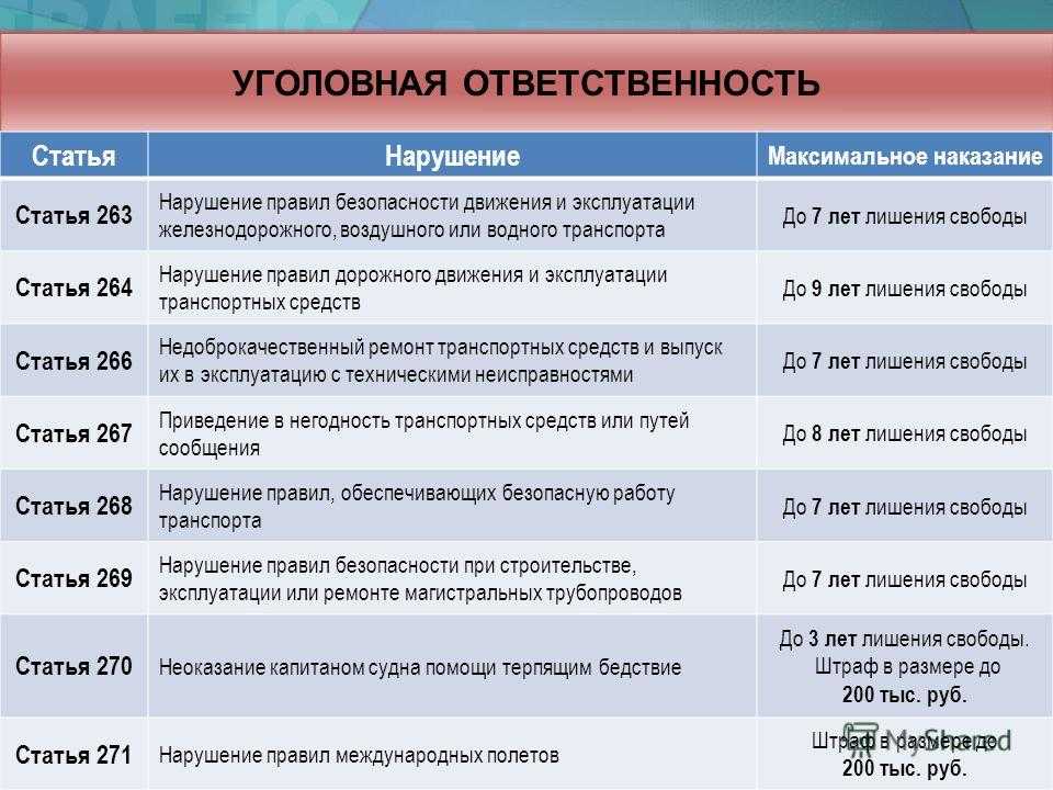 Барсук: как выглядит хищное животное, интересные факты и фото