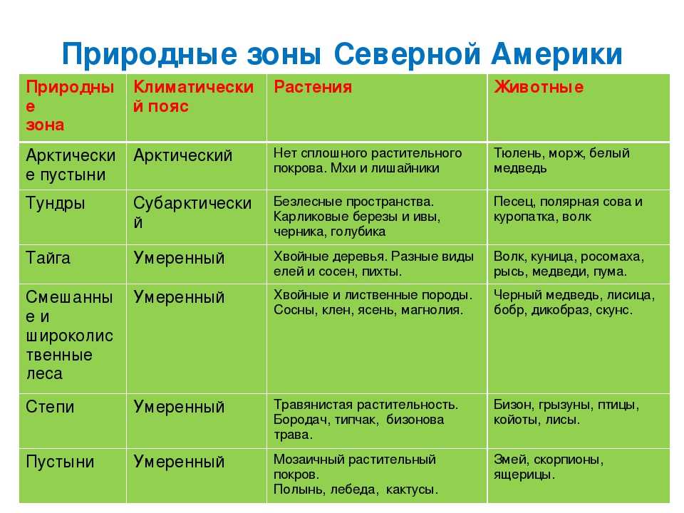 Животные северной америки – какие представители обитают, эндемики