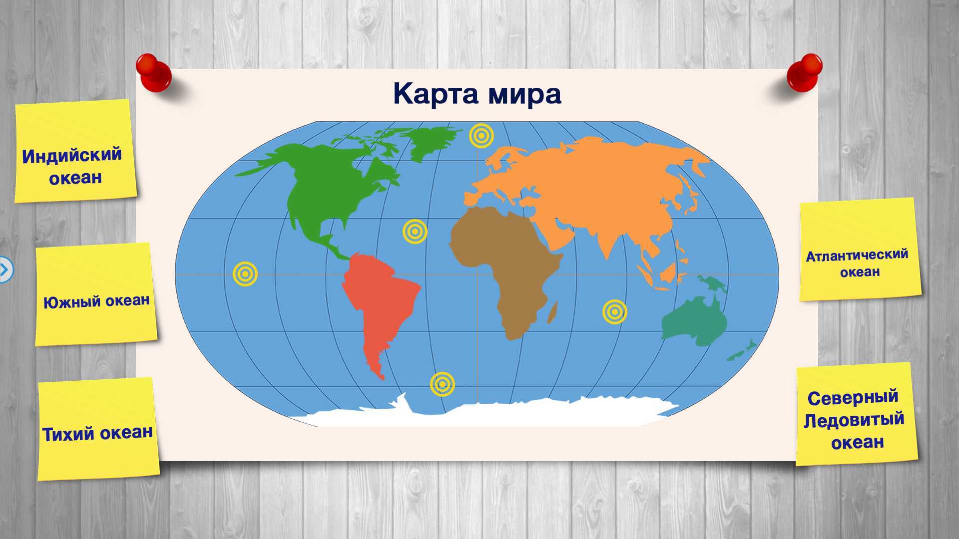 Многообразие животного мира нашей планеты