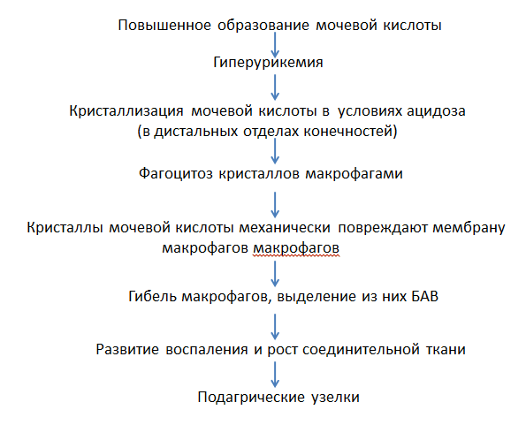 Диагностика и лечение подагрического артрита | eurolab | научные статьи