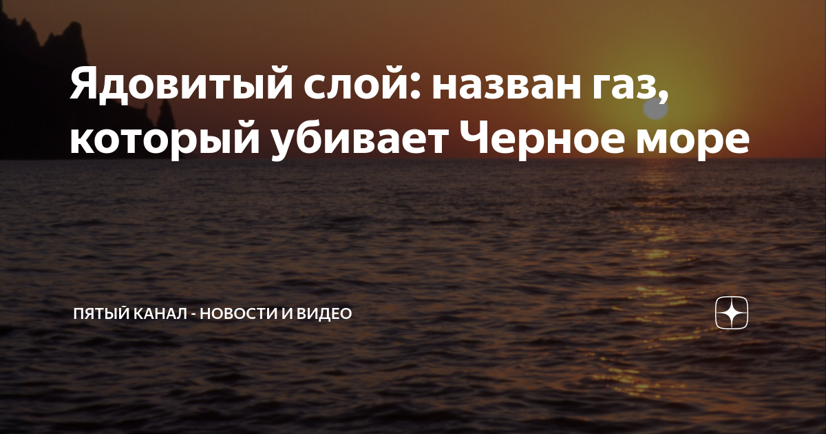 Морские блюдца с чесночным маслом. что значит "морское блюдечко" использование просторечного названия
