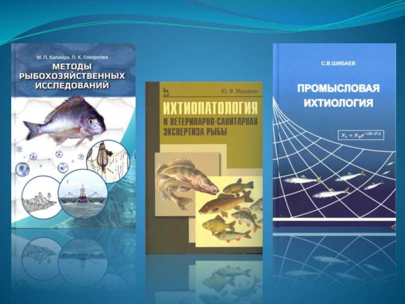 Журнал эволюционной биохимии и физиологии, 2022, t. 58,  &numero; 2, стр. 96-108