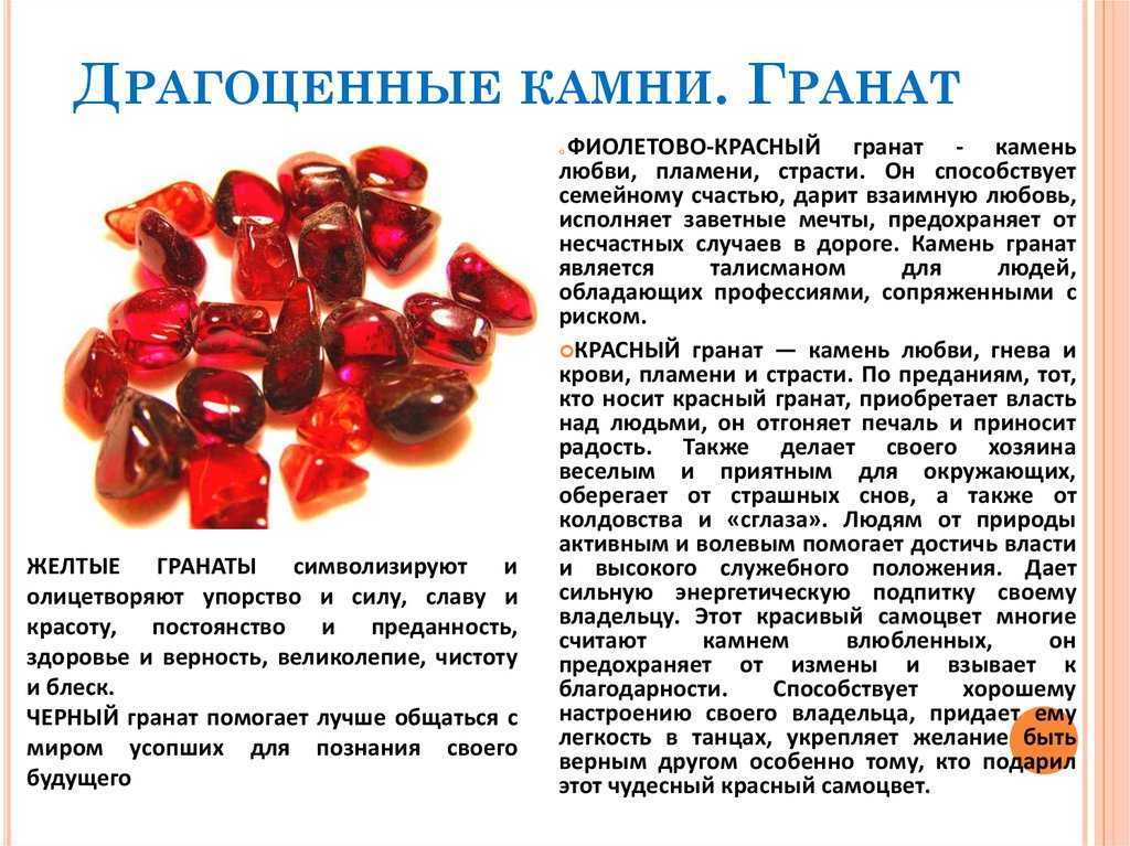 Рыбы красного моря. описание, особенности и названия рыб красного моря