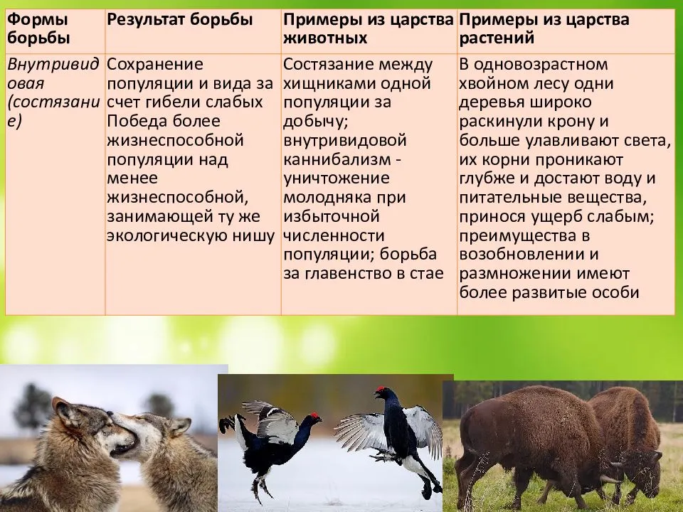 Байбак ваше имя (обязательно) ваш e-mail (обязательно) тема сообщение пожаловаться ▲▼ проблемыинформация невернаопечатки, неверная орфография и пунктуацияинформация потеряла актуальностьнедостаточно и
