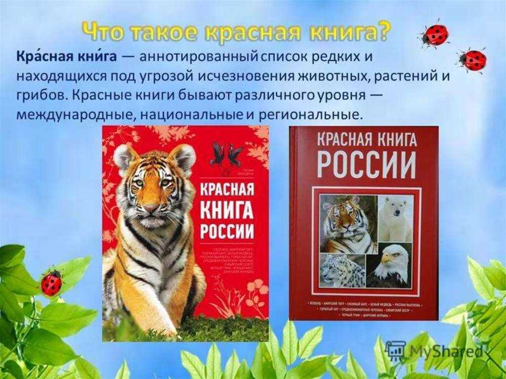 Животные пустыни. описания, названия и особенности животных пустыни