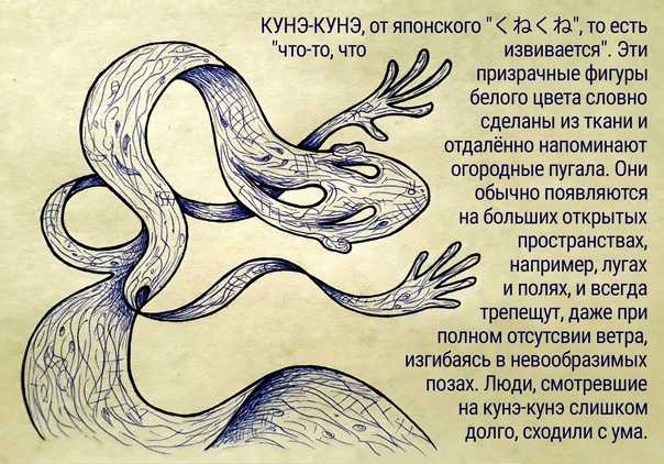 Земные долгожители: животные, которые могут прожить и 300 лет