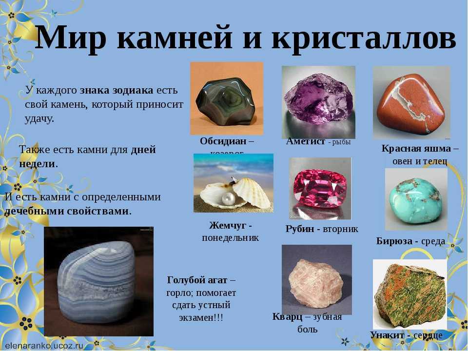 Сем. каменные окуни - serranidae [1982 вилер а. - определитель рыб морских и пресноводных вод северо - европейского бассейна]