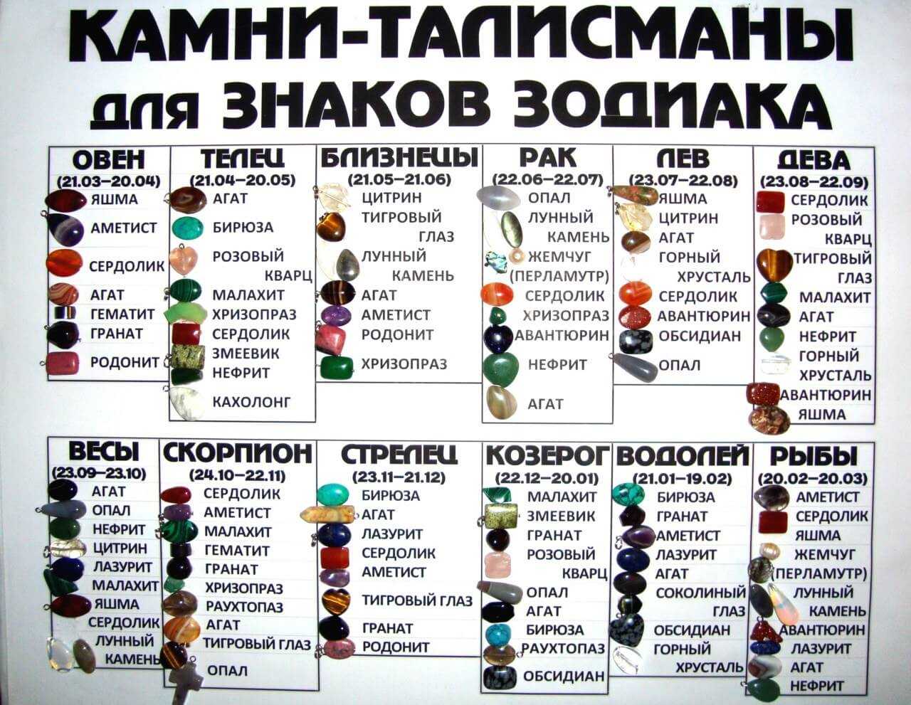 Коралловые съедобные грибы: где растут, как называются | интересный сайт