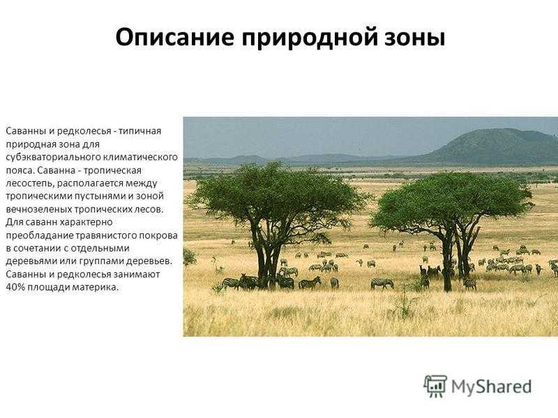 Климат земли: что это, типы и виды климата на поверхности земли, факторы - климатические пояса и их характеристики