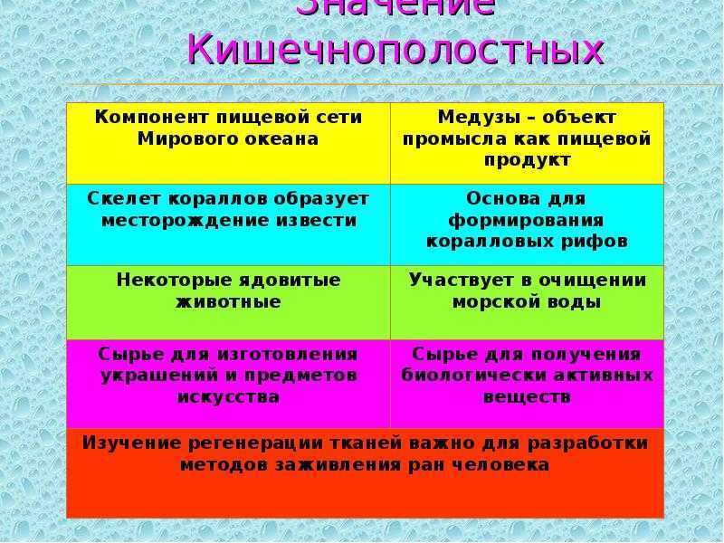 Кишечнополостные - разнообразие типа, роль и значение в природе
