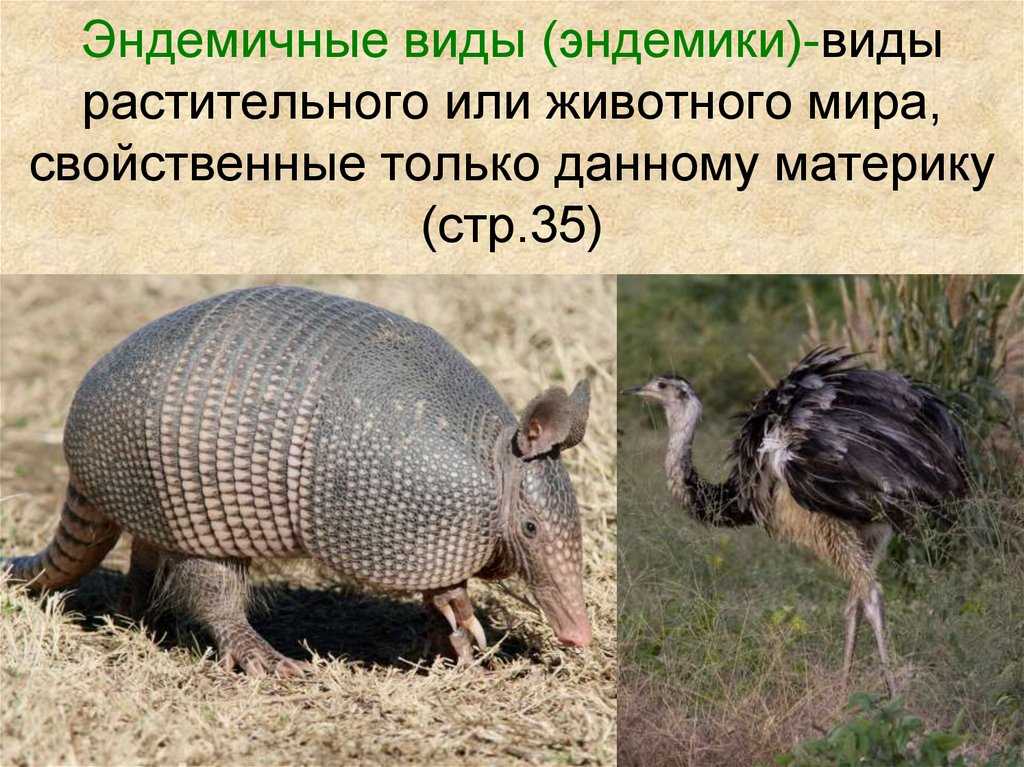 Мексика
