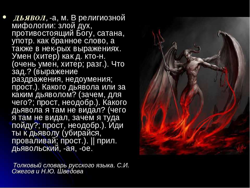 Рыба-ангел: как выглядит, естественная среда обитания и условия содержания в аквариумах, интересные факты