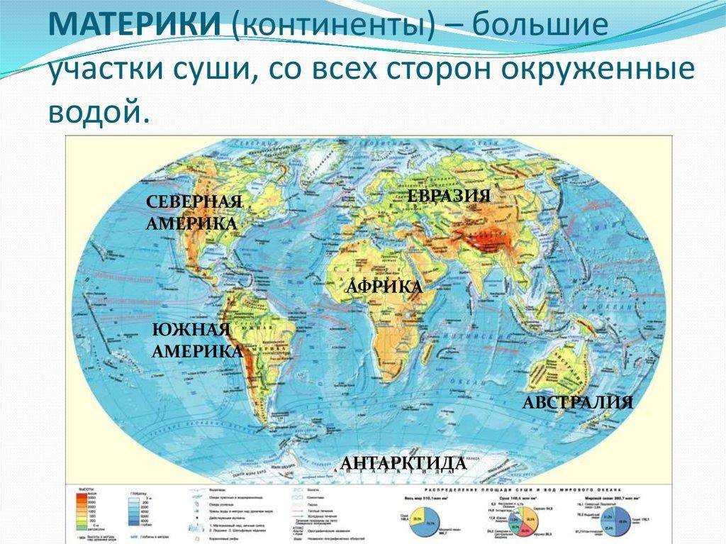 Дикие животные