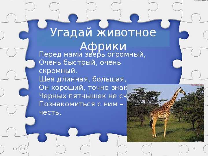 Материки и континенты – перечень и описание для детей дошкольного и младшего школьного возраста