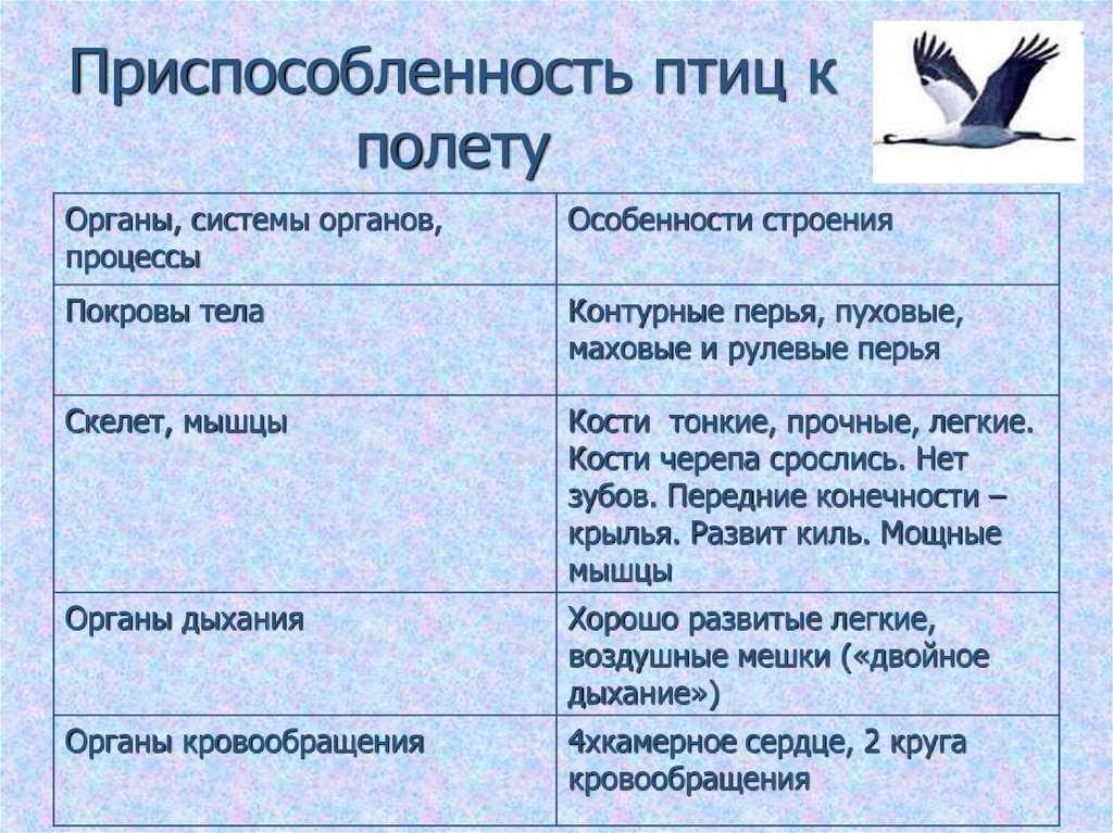 Журавли