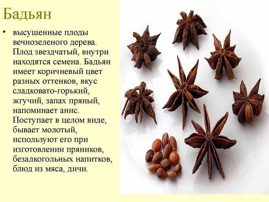 Бодиан