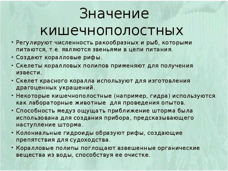 Конспект по биологии "тип кишечнополостные" - учительpro