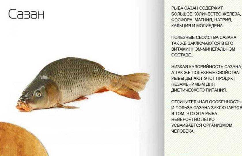 Нельма