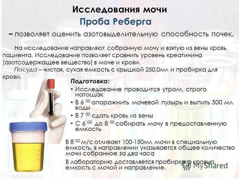 Обыкновенный уж: внешний вид, фото, особенности, интересные факты, среда обитания