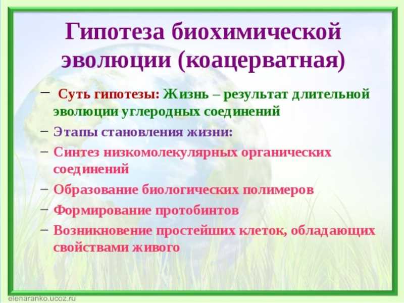 Малый амударьинский лжелопатонос (pseudoscaphirhynchus hermanni) [1988 александровская т.о., васильева е.д., орлова в.ф. - рыбы, амфибии, рептилии красной книги ссср: береги природу!]