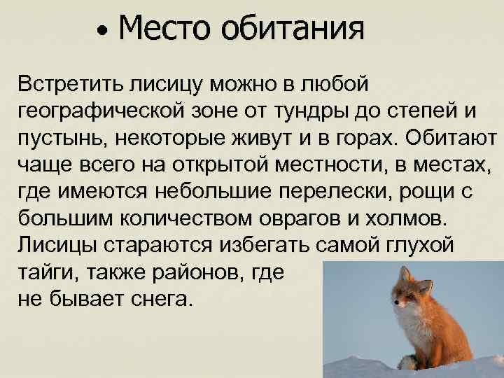 Лиса
