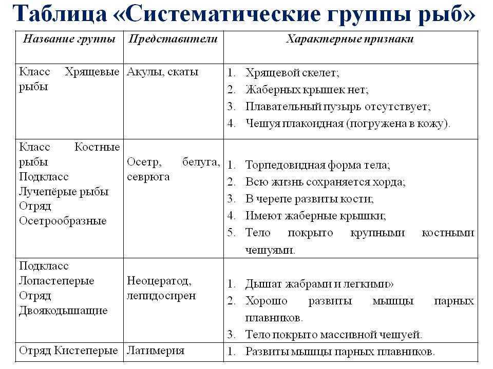 Лучеперые рыбы — виды, общая характеристика, строение костных рыб
