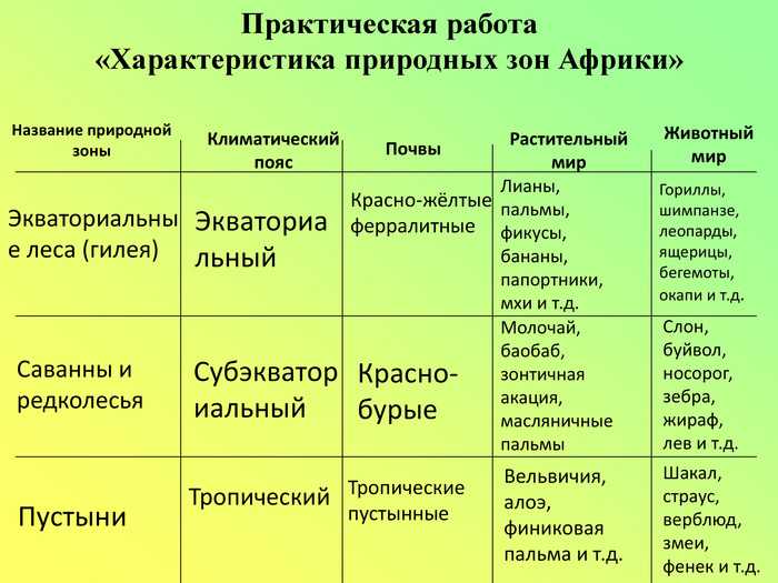 Территории континента раскинулись во всех климатических поясах, только экваториальный остался за их границами Многообразие животного мира зависит от изобилия климатических условий, поэтому в Северной Америке фауна богатейшая