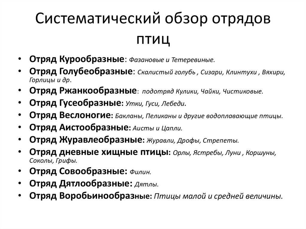 Класс птицы - виды, основные признаки, отряды, особенности, размножение