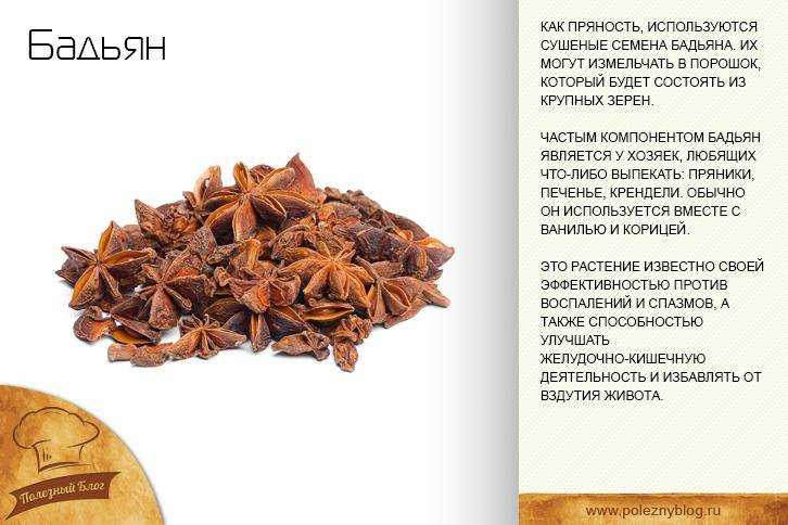 Бадьян: полезные свойства для организма | food and health