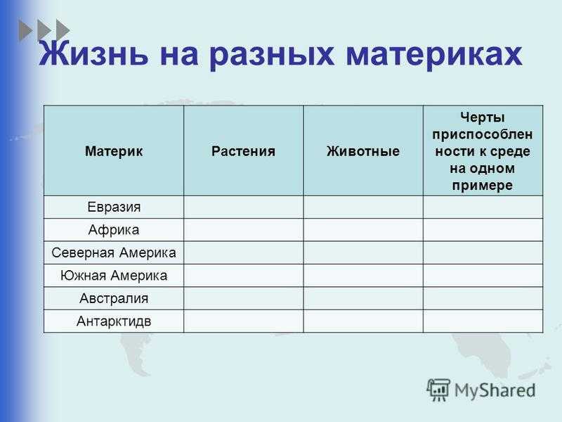 Животный мир - животный мир