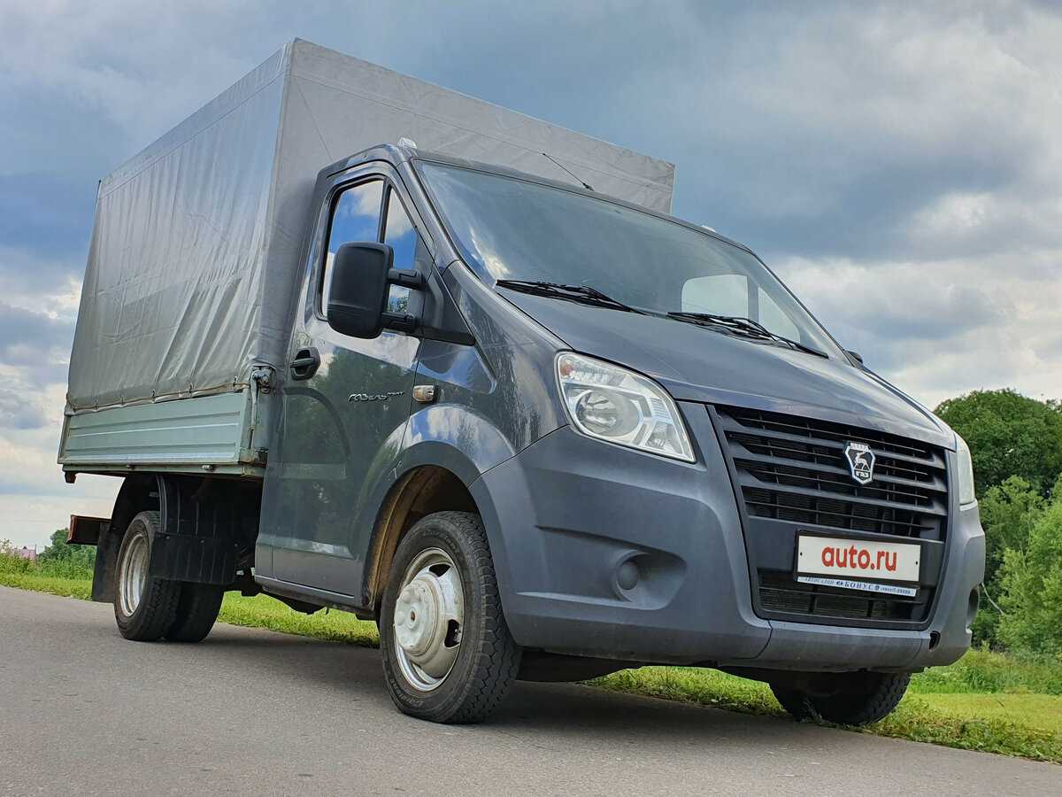 Какое из этих животных относится к газелям: как называется детеныш газели?